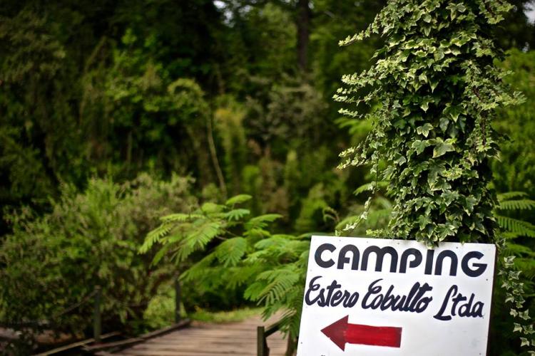 Fotografía 7 de Camping Estero Cobulto en Cunco, Araucania