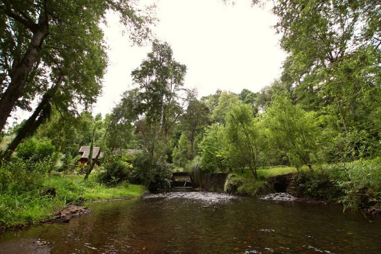 Fotografía 13 de Camping Estero Cobulto en Cunco, Araucania