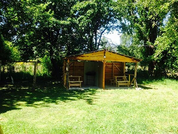 Fotografía 5 de Camping Parcela Tres Pinos en Aysen, Aysen