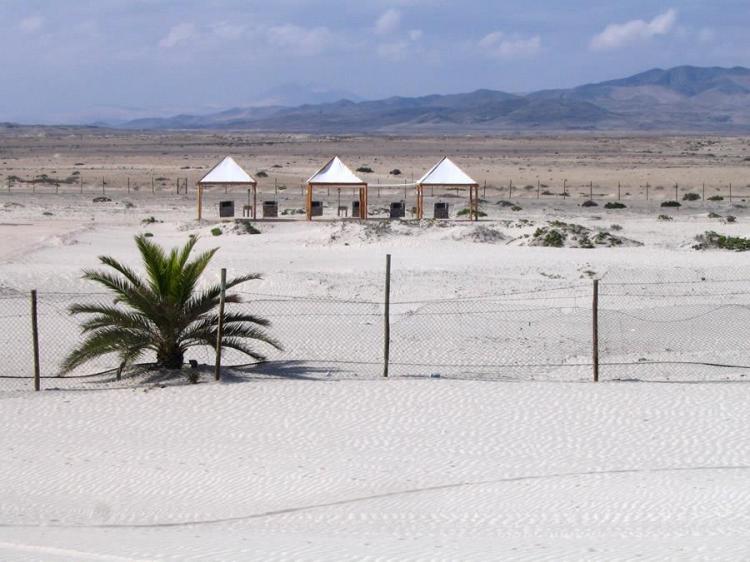 Fotografía 13 de Camping Bahia Club en Caldera, Atacama