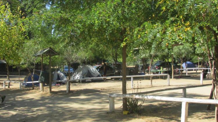Fotografía 4 de Camping Agroturismo El Bosque De Los Perales en Quilpue, Valparaiso