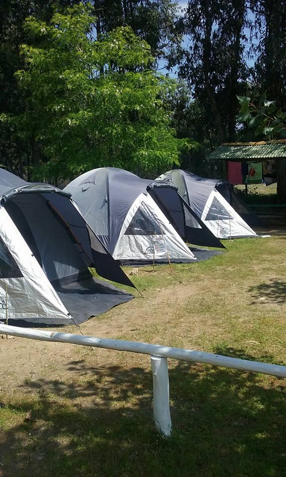 Fotografía 8 de Camping Agroturismo El Bosque De Los Perales en Quilpue, Valparaiso