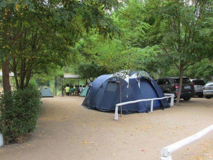 Fotografía 9 de Camping Agroturismo El Bosque De Los Perales en Quilpue, Valparaiso