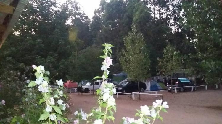 Fotografía 10 de Camping Agroturismo El Bosque De Los Perales en Quilpue, Valparaiso