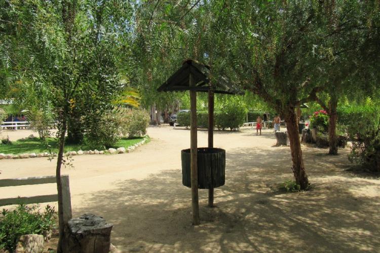 Fotografía 14 de Camping Agroturismo El Bosque De Los Perales en Quilpue, Valparaiso