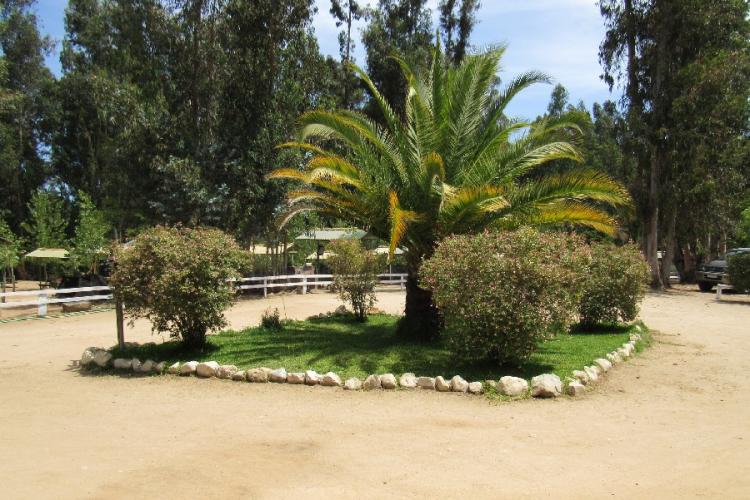 Fotografía 15 de Camping Agroturismo El Bosque De Los Perales en Quilpue, Valparaiso