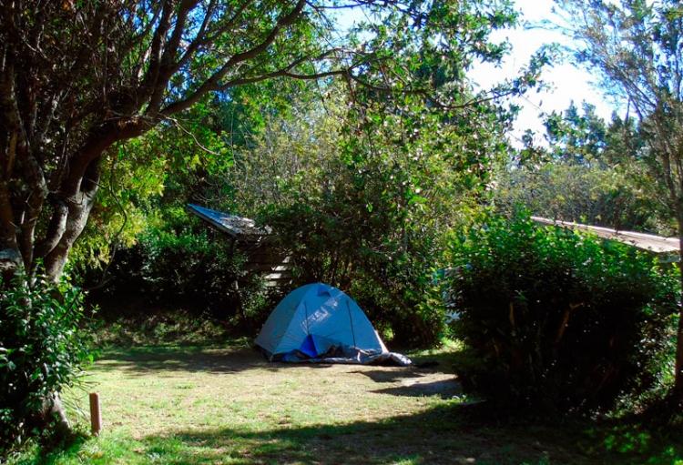 Fotografía 12 de Camping Arena Gruesa en Ancud, Los Lagos