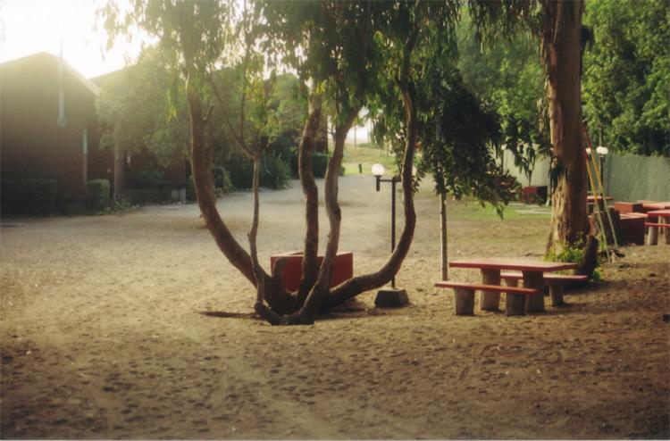 Fotografía 11 de Camping Bahía Marina pichidangui en Los Vilos, Coquimbo