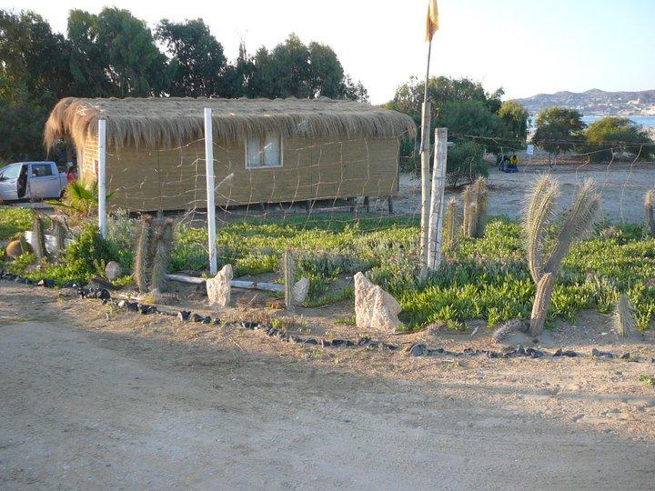 Fotografía 4 de Camping Conrado en Coquimbo, Coquimbo