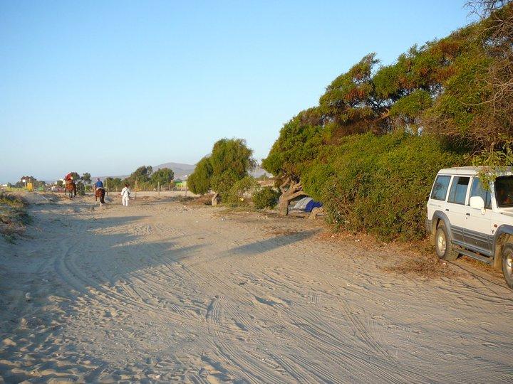 Fotografía 10 de Camping Conrado en Coquimbo, Coquimbo