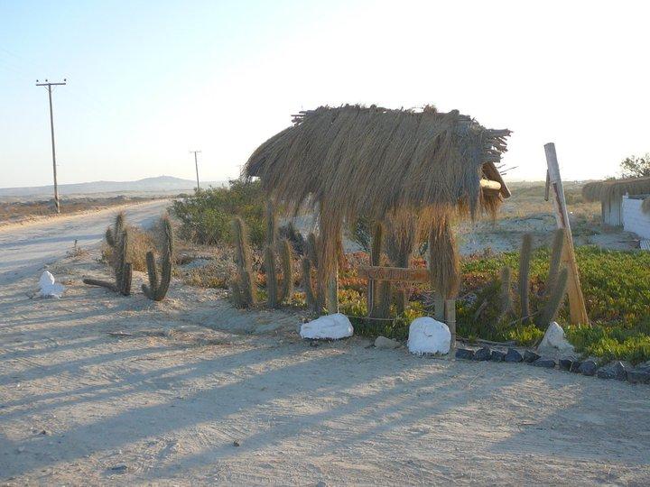 Fotografía 7 de Camping Conrado en Coquimbo, Coquimbo