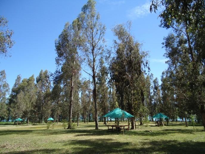 Fotografía 2 de Camping Colbun Vista Hermosa en Colbun, Maule