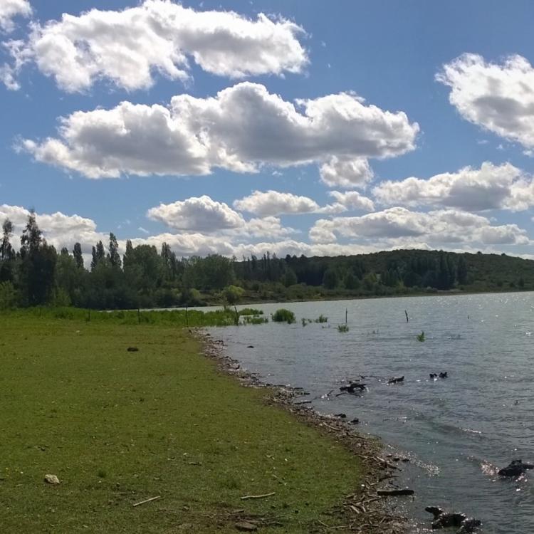 Fotografía 8 de Camping Colbun Vista Hermosa en Colbun, Maule