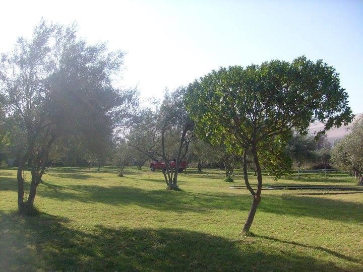 Fotografía 4 de Camping Huerto Los Olivos en Copiapo, Atacama