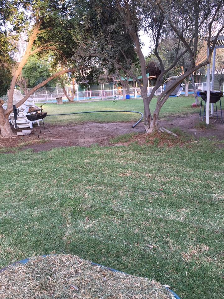 Fotografía 6 de Camping Huerto Los Olivos en Copiapo, Atacama