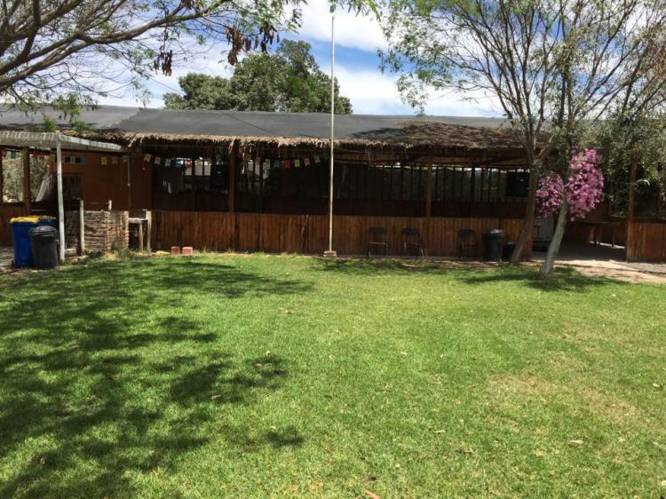 Fotografía 7 de Camping Huerto Los Olivos en Copiapo, Atacama
