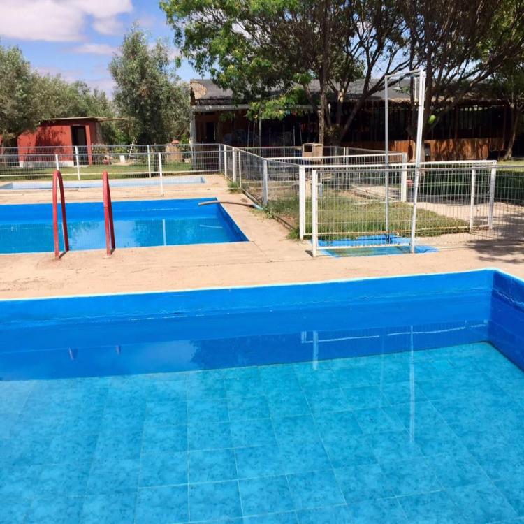 Camping Huerto Los Olivos en Copiapo, Atacama