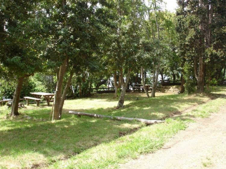 Fotografía 5 de Camping Las Vertientes en Pucon, Araucania