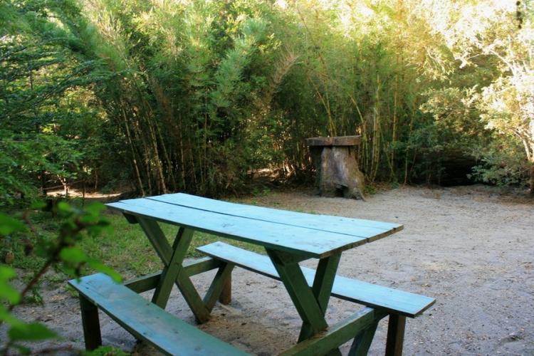Camping Olga en Pucon, Araucania