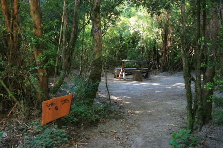 Fotografía 7 de Camping Olga en Pucon, Araucania