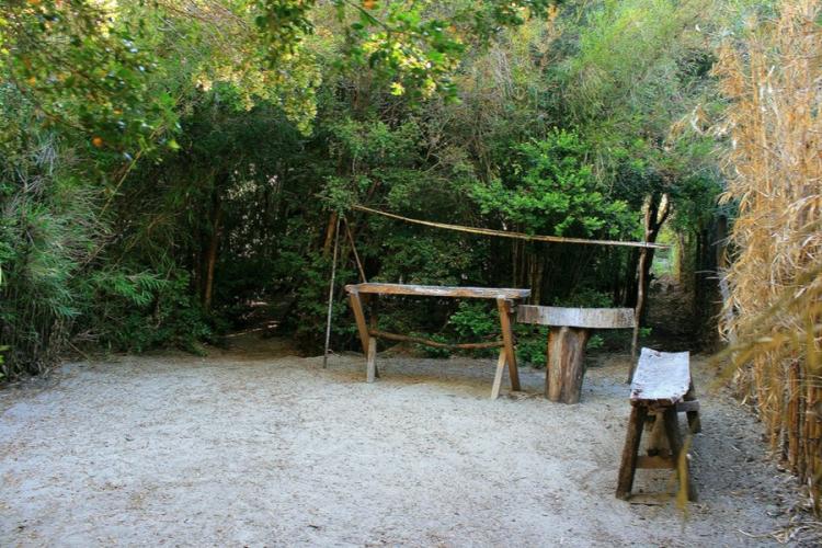 Fotografía 8 de Camping Olga en Pucon, Araucania