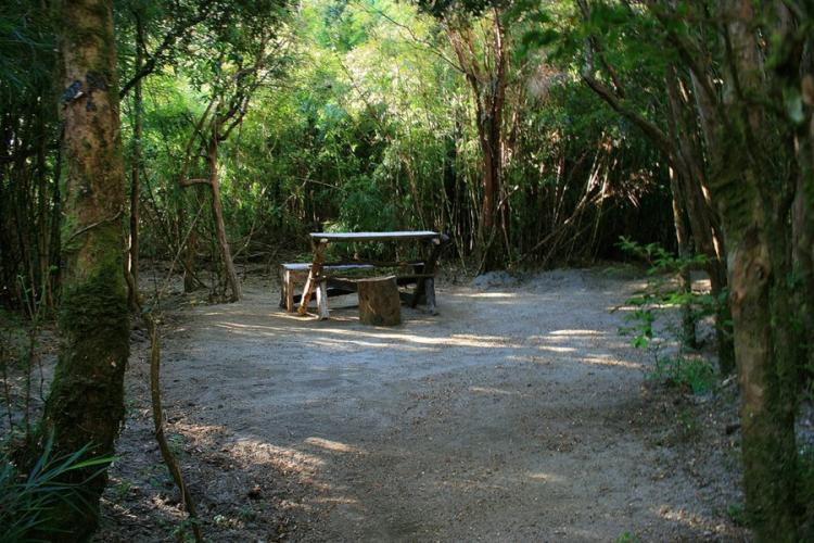 Fotografía 9 de Camping Olga en Pucon, Araucania