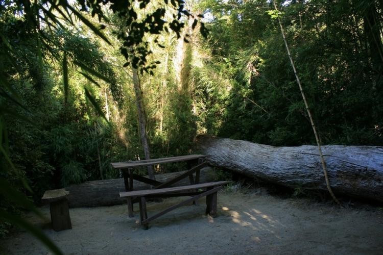 Fotografía 10 de Camping Olga en Pucon, Araucania