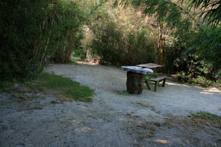 Fotografía 11 de Camping Olga en Pucon, Araucania