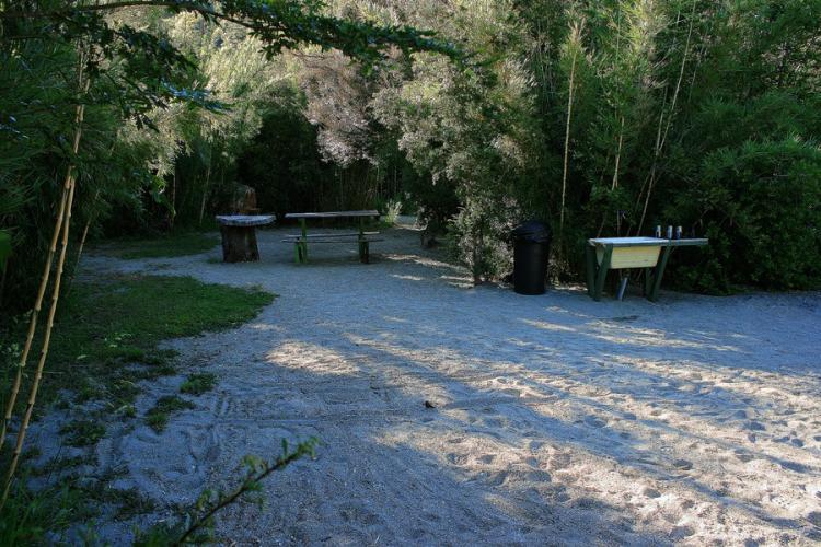 Fotografía 13 de Camping Olga en Pucon, Araucania