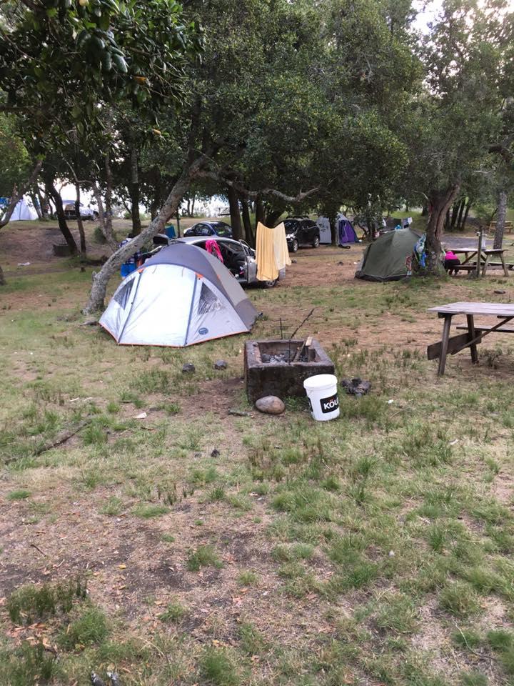 Fotografía 2 de Camping Ainoha Pucón en Pucon, Araucania