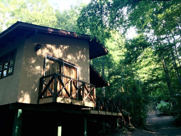 Fotografía 5 de Camping & Cabañas L Etoile Pucón en Pucon, Araucania