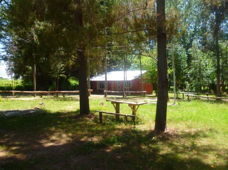 Fotografía 4 de Camping Sol y Sombra en Colbun, Maule
