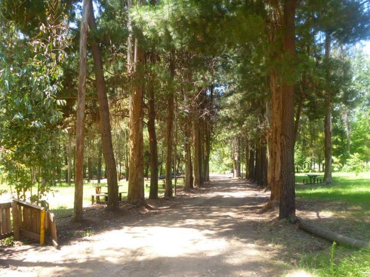 Fotografía 6 de Camping Sol y Sombra en Colbun, Maule