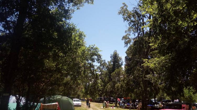 Fotografía 6 de EcoCamping Mision de Coñaripe en Collipulli, Araucania