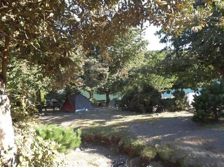 Fotografía 11 de Camping Y Hospedaje Familia Kuschel en Puerto Varas, Los Lagos