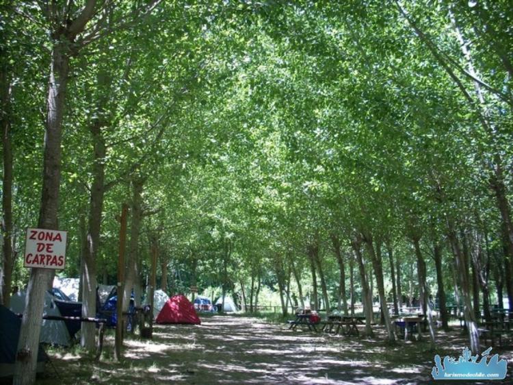Fotografía 2 de Camping Tio Peyo en Cabrero, Bio Bio