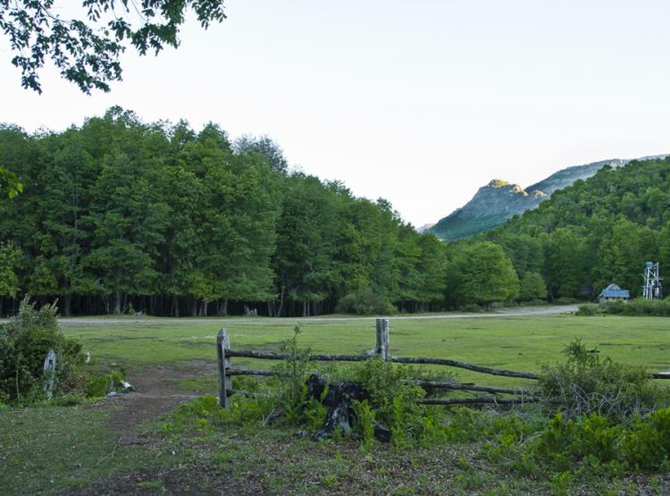 Fotografía 11 de Valle de las Catas Camping y Cabañas en Molina, Maule