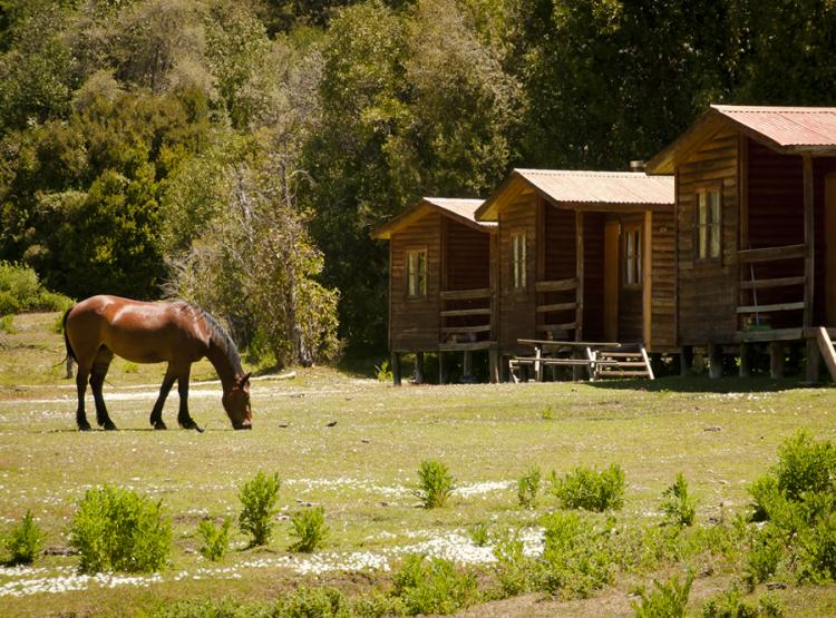 Fotografía 13 de Valle de las Catas Camping y Cabañas en Molina, Maule