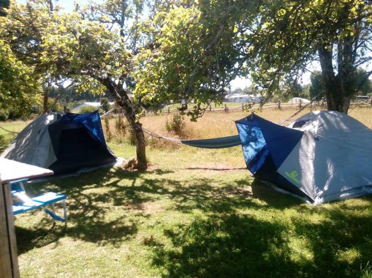 Fotografía 8 de Camping Turismo La Chacra en Castro, Los Lagos