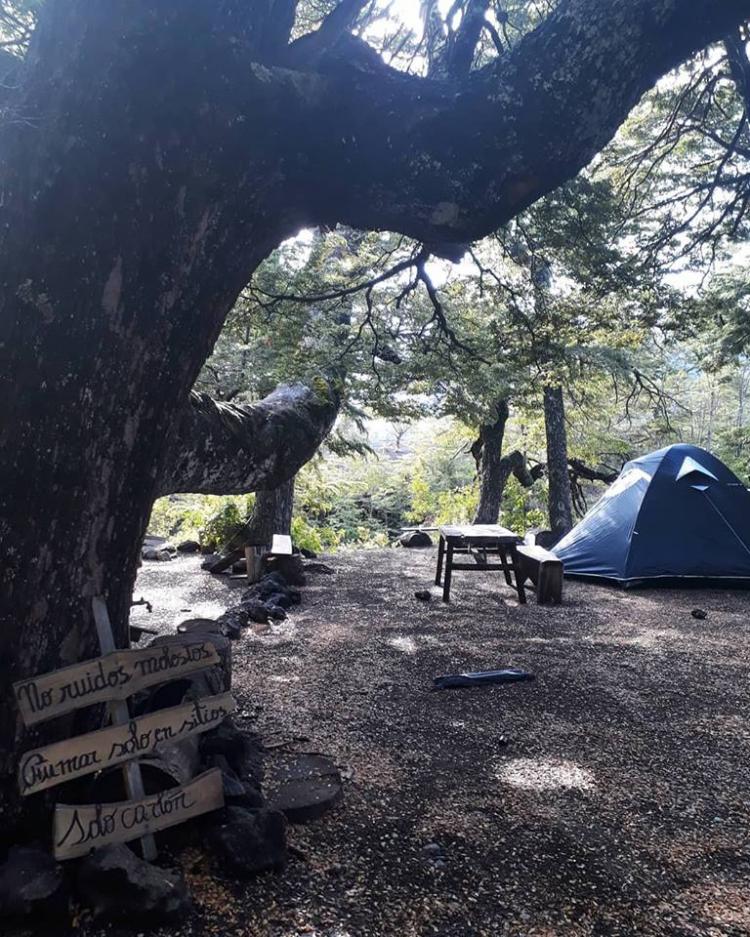 Fotografía 2 de Camping Ngen Trayenko en Melipeuco, Araucania