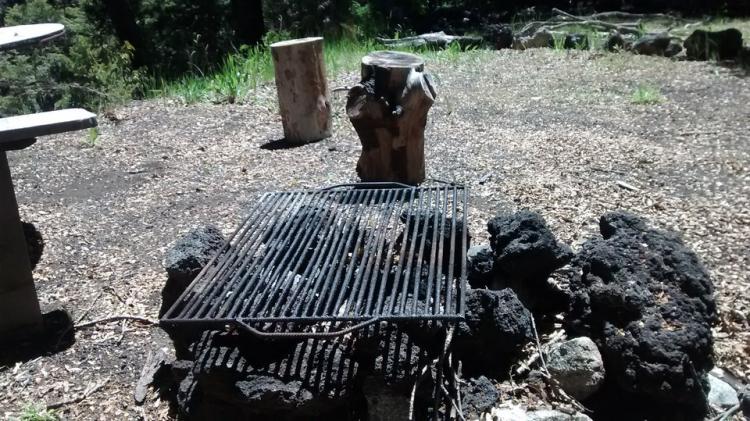 Fotografía 7 de Camping Ngen Trayenko en Melipeuco, Araucania