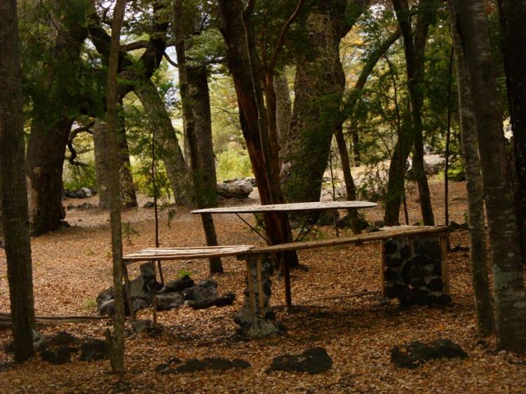 Fotografía 11 de Camping Ngen Trayenko en Melipeuco, Araucania