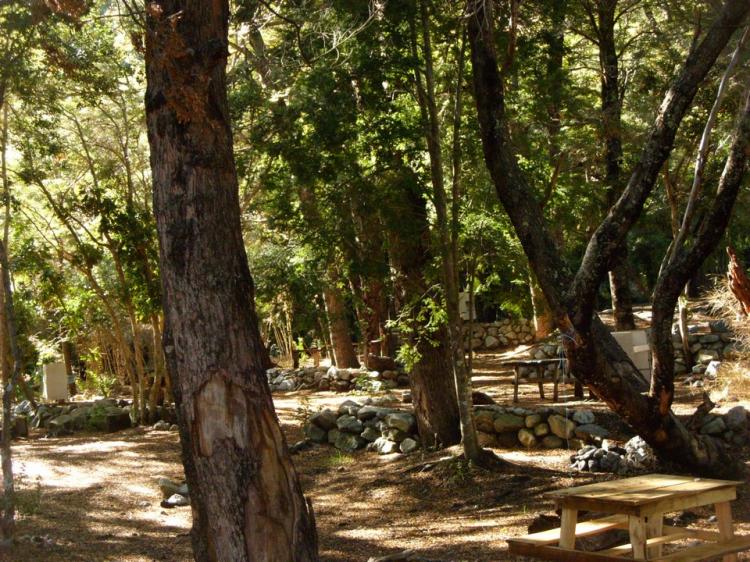 Fotografía 12 de Camping Ngen Trayenko en Melipeuco, Araucania