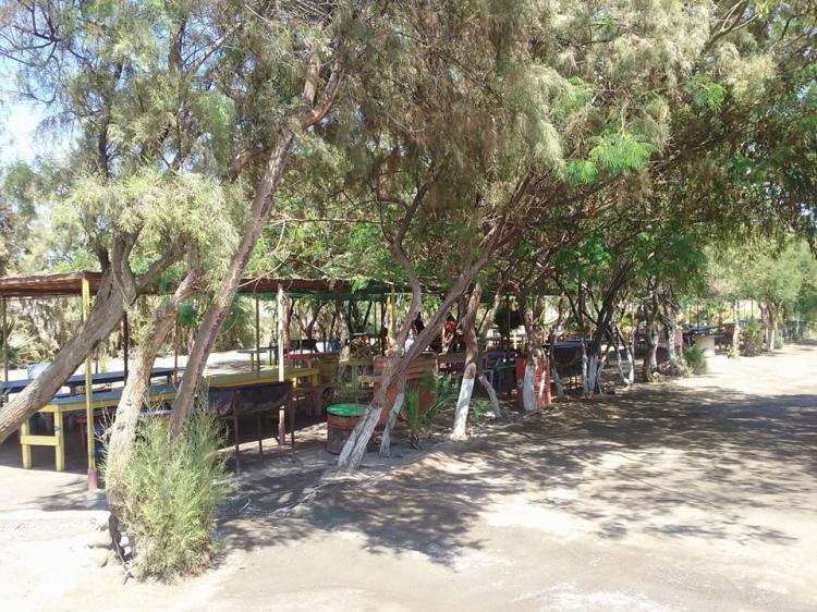 Fotografía 4 de Camping Belén en Arica, Arica Y Parinacota