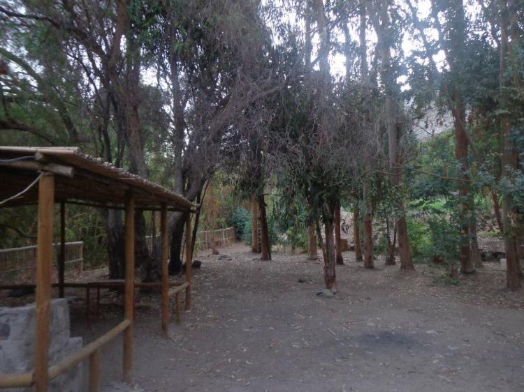 Fotografía 7 de Camping Crucecita en Alto Del Carmen, Atacama