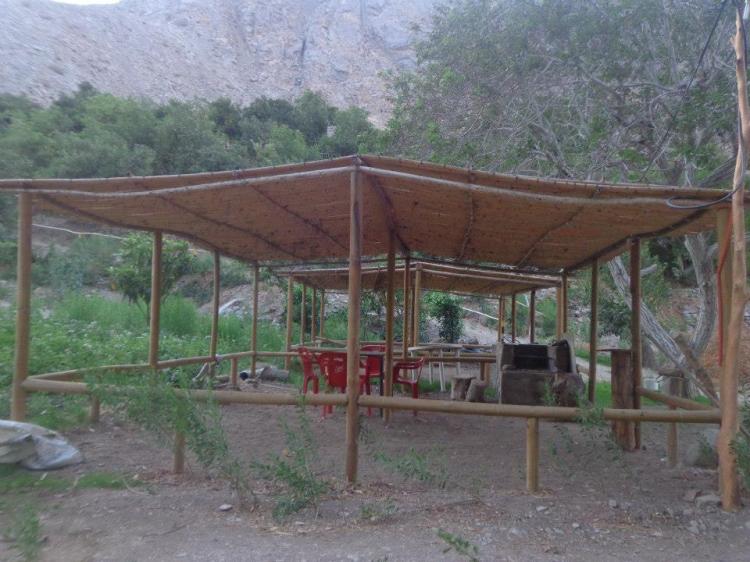 Fotografía 12 de Camping Crucecita en Alto Del Carmen, Atacama