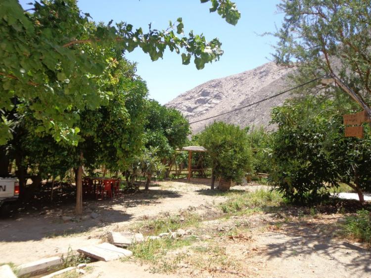 Fotografía 14 de Camping Crucecita en Alto Del Carmen, Atacama