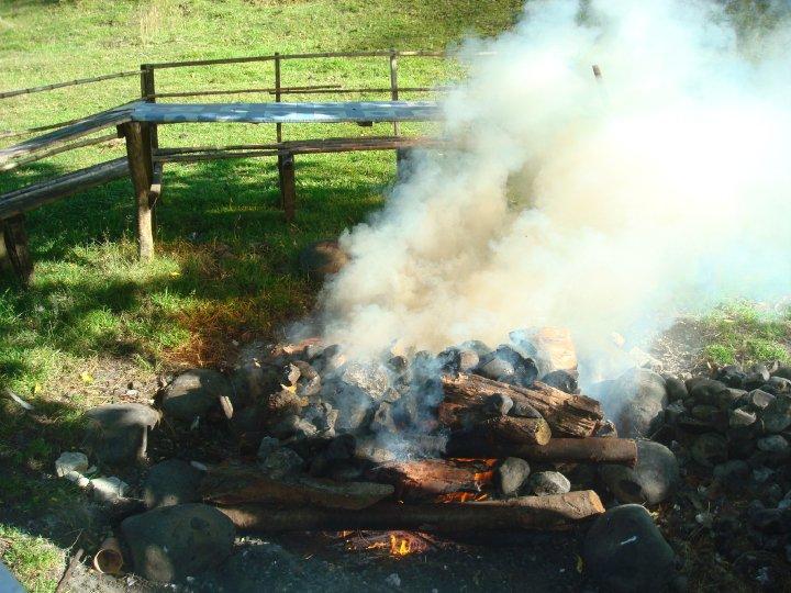 Fotografía 15 de Camping Rio Quilén en Quellon, Los Lagos