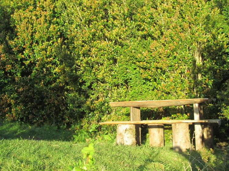 Fotografía 6 de Camping Reldehue Outdoor / en Chaitén en Chaiten, Los Lagos