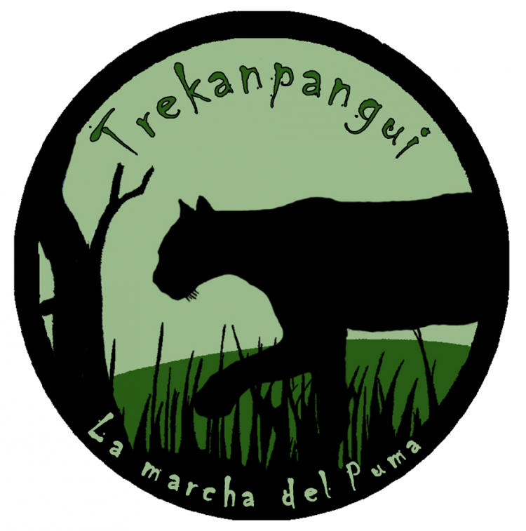 Camping Trekanpangui en Chaiten, Los Lagos